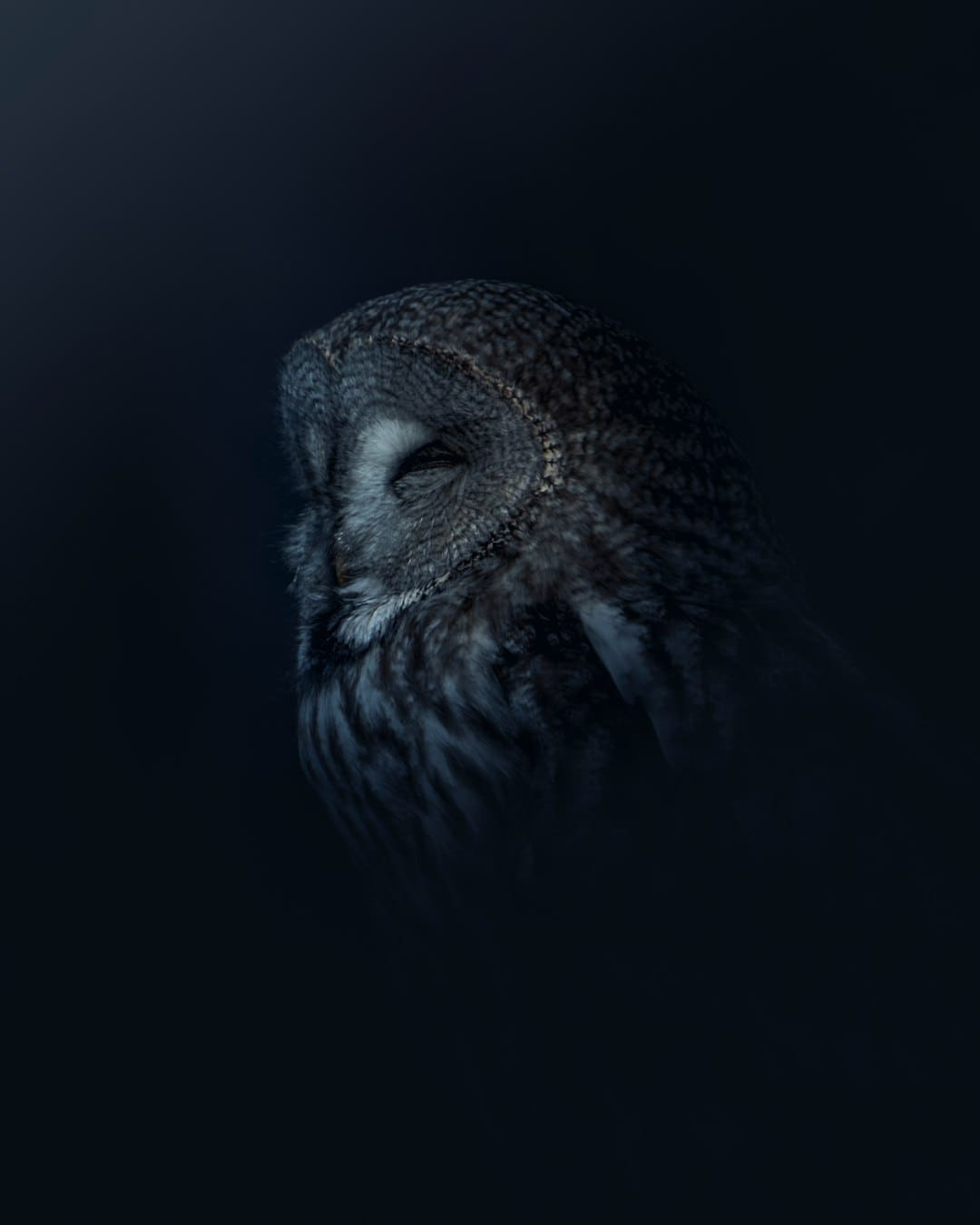 http://n.sinaimg.cn/news/1_img/upload/56fedab5/w600h395/20180307/8PiZ-fxpwyhv5377081.jpg?zdy